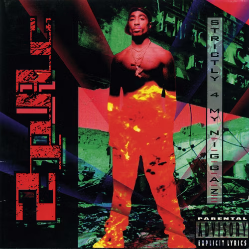 Strictly 4 My N.I.G.G.A.Z... (2011)