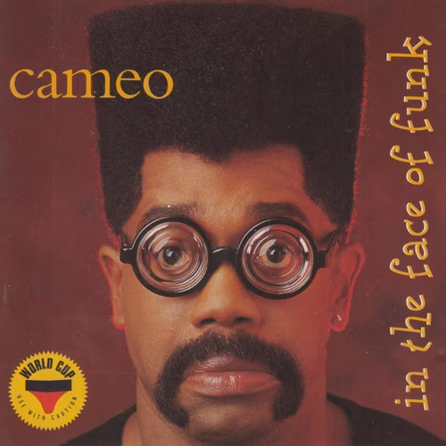 In the Face of Funk (1995)