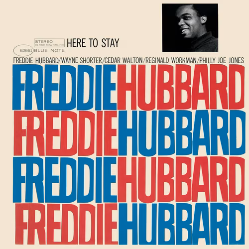 Here To Stay (1976)