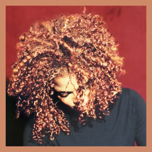 The Velvet Rope (1997)
