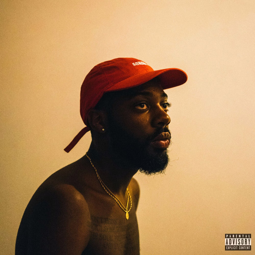 Sonder Son (2017)
