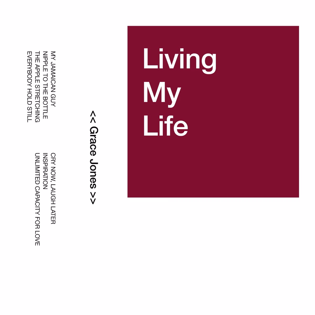 Living My Life (1982)